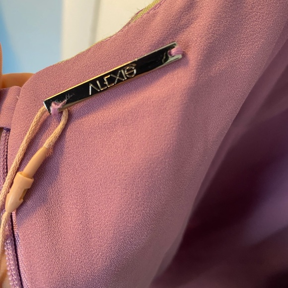 NWT Alexis Leina Mini Dress Size Small - Picture 4 of 12